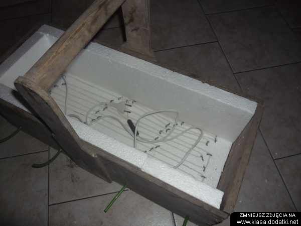 s7q9pSAM_1738.JPG