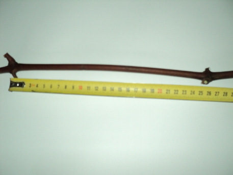 DSC02744.JPG