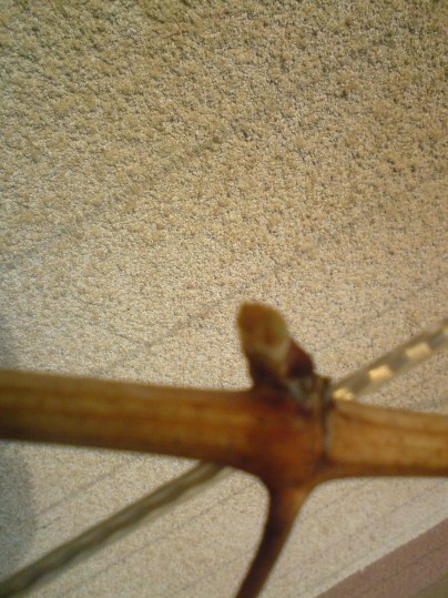 dsc00060.jpg