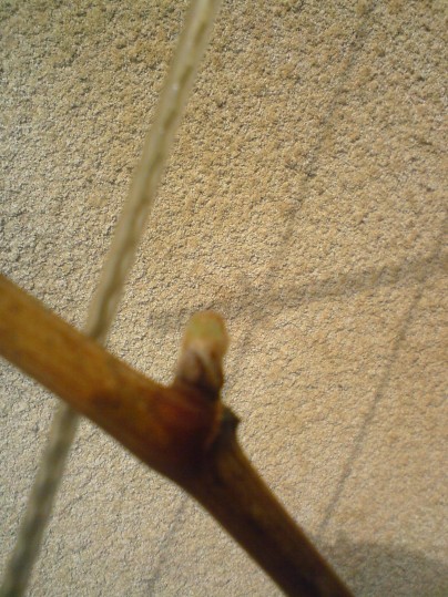 dsc00062.jpg