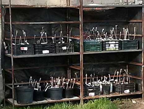 CAM00107-1-1.jpg