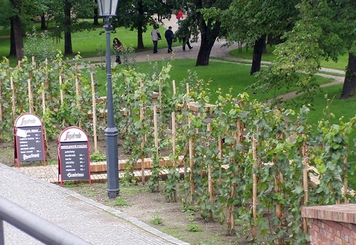 P1010075.JPG