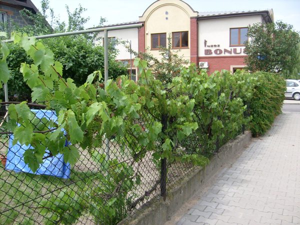 Obraz 001.jpg