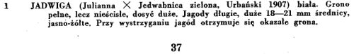 Jadw_Kozm.jpg