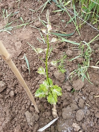20150528_124454.jpg