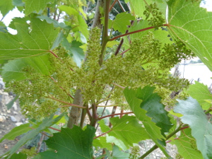DSC00112.JPG DSC00112.JPG