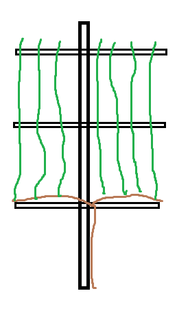 palik.png