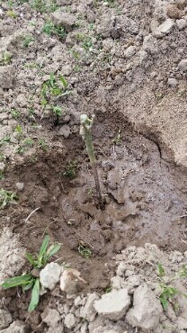 2016-04-20 19.49.46.jpg