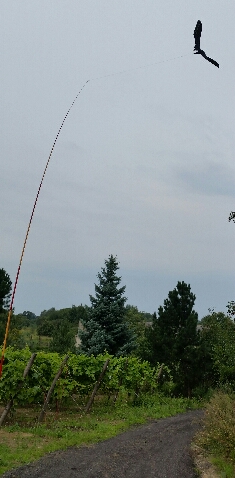 2016-08-20 10.19.52.jpg