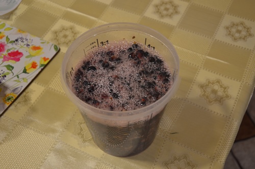 PinotW_Fermenter_500.JPG