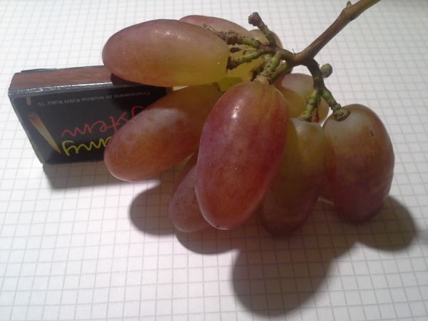 20161022_Prieobrażenie.jpg