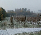 2016-11-12 09.57.29.jpg
