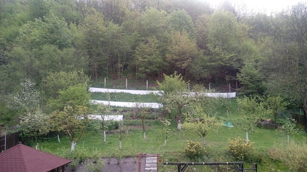 20170507_081227.jpg
