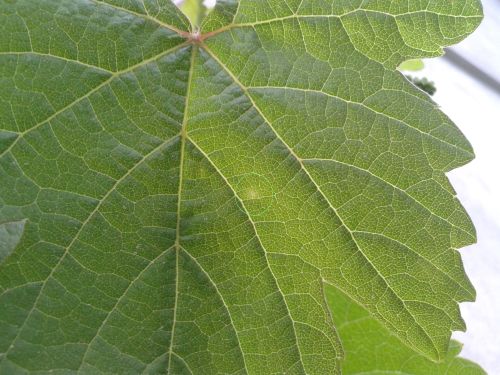 Zdjęcie-0204.jpg