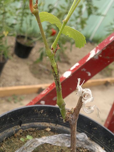 2016-07-30.jpg