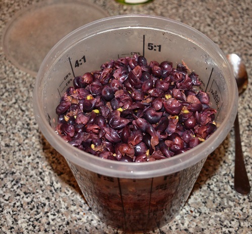 Fermentacja-przed_mieszaniem.JPG