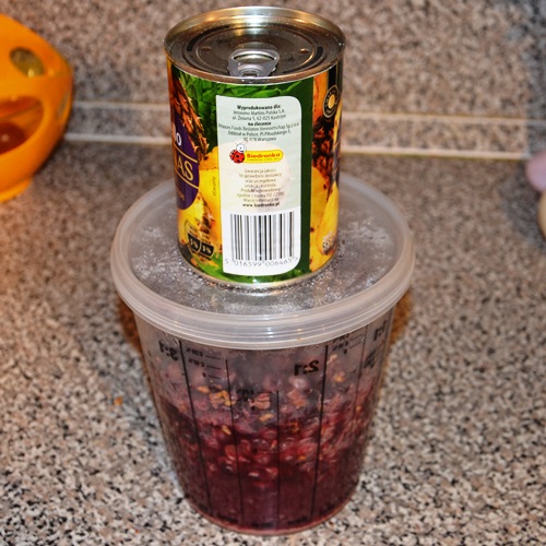 Fermentacja.JPG
