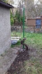 IMG_20171111_092345_056.jpg