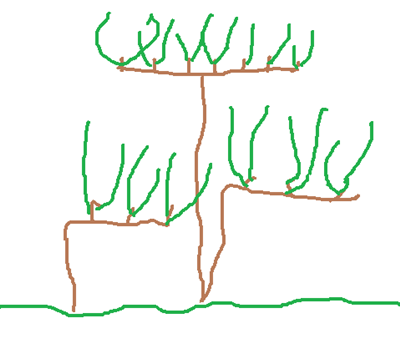 Krzewy na ściane.png