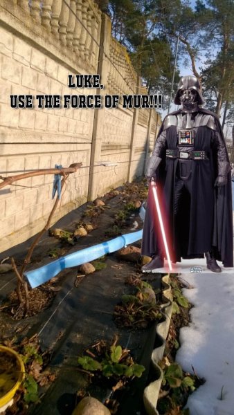 luke.jpg