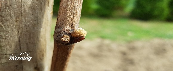 20180412_131822-580x240.jpg