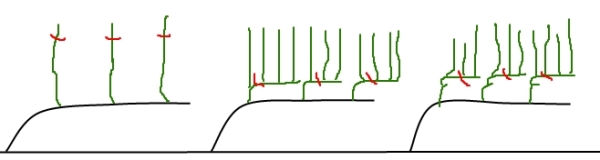 modCasanave.jpg