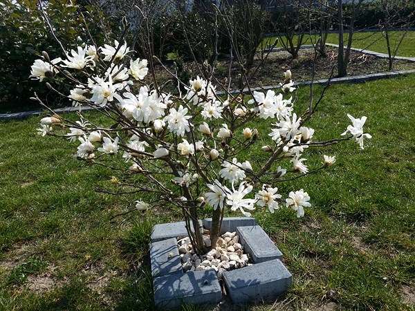 20190408_123901.jpg