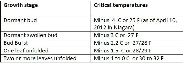 critical temperatures for grape.JPG