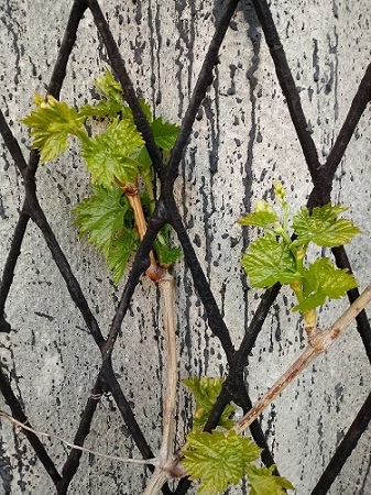 20190418_190141.jpg