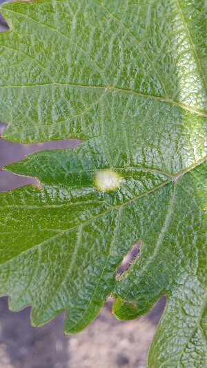 20190520_183927-300x534.jpg