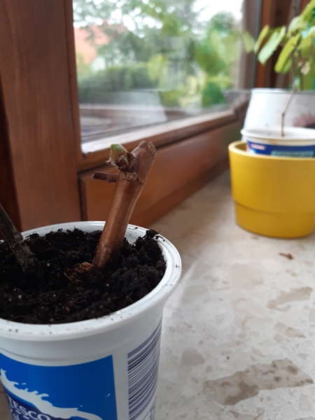20190731_084535.jpg