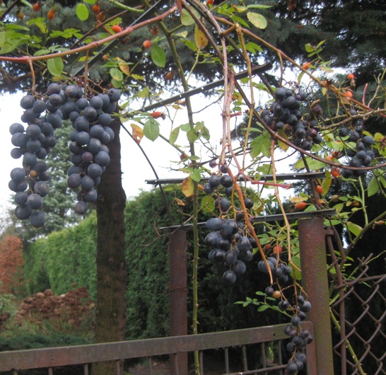 30102019-Szachtior.JPG