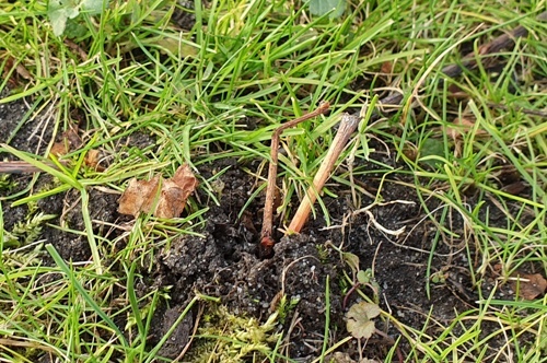 20191215_113933 500.jpg 20191215_113933 500.jpg