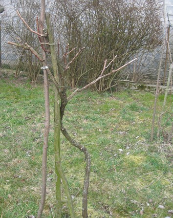 04042020para.JPG