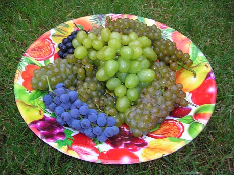 DSCN5931.JPG
