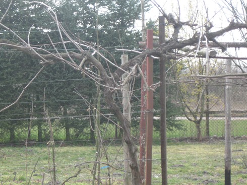 04042020LM.JPG