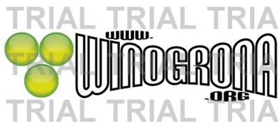 logo 6.jpg