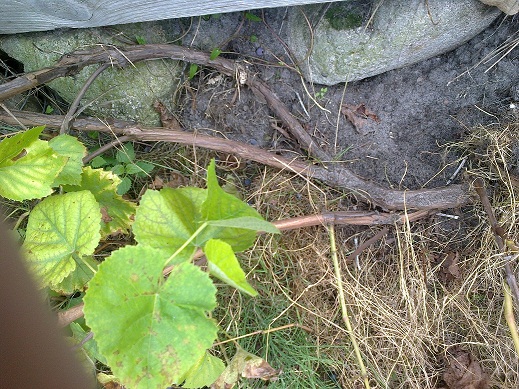 20120907005.jpg