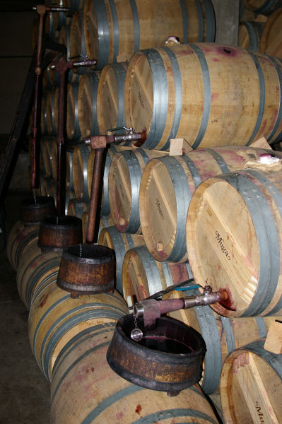 06Rioja24s.JPG