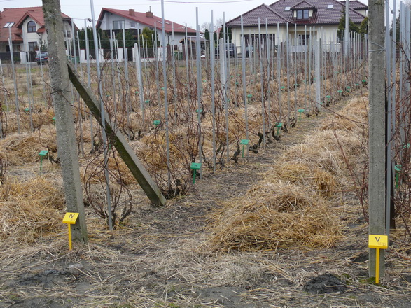 P1280890.JPG