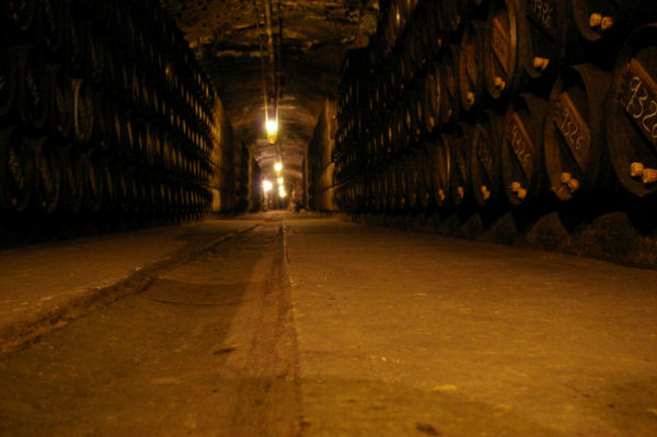 06Rioja08s.JPG