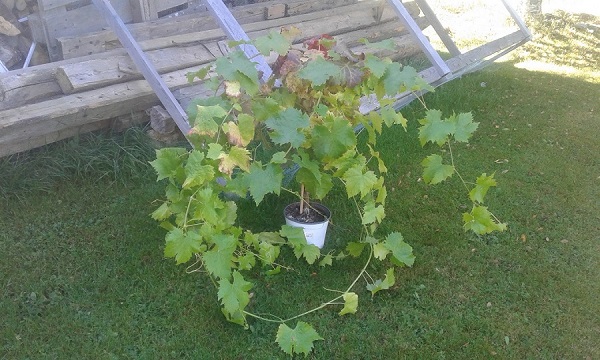 20210914_140053.jpg