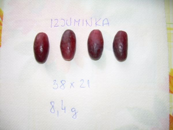 Plik:Izjuminka-jagody.jpg