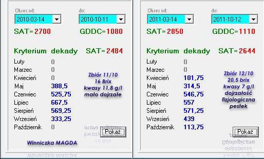 Plik:Gewurz-dojrzewanie-2010-2011.jpg