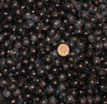 Plik:Cascade1.jpg