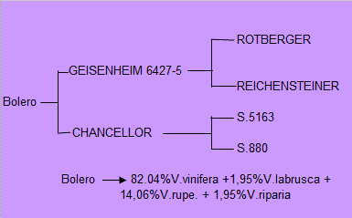 Plik:Bolero drzewko.gif