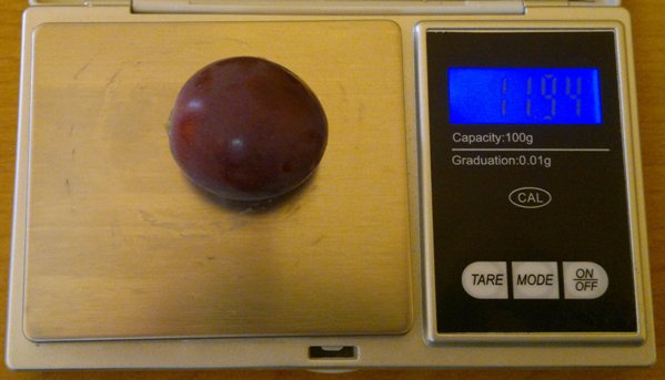 Plik:2012-08-19-342.jpg