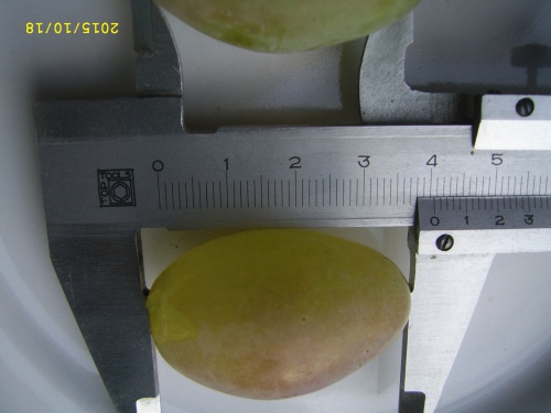 Plik:E5280cfb4200722bmed.jpg