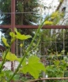 Miniatura wersji z 19:30, 17 paź 2025