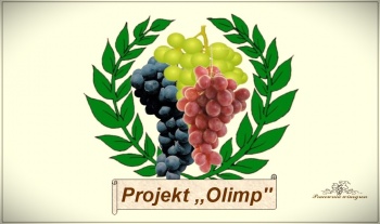 Projekt Olimp